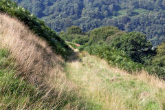 The Rows quarry incline, August 2013